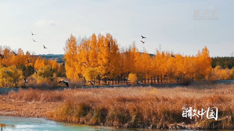 瞰中国｜绚丽秋景 美不胜收