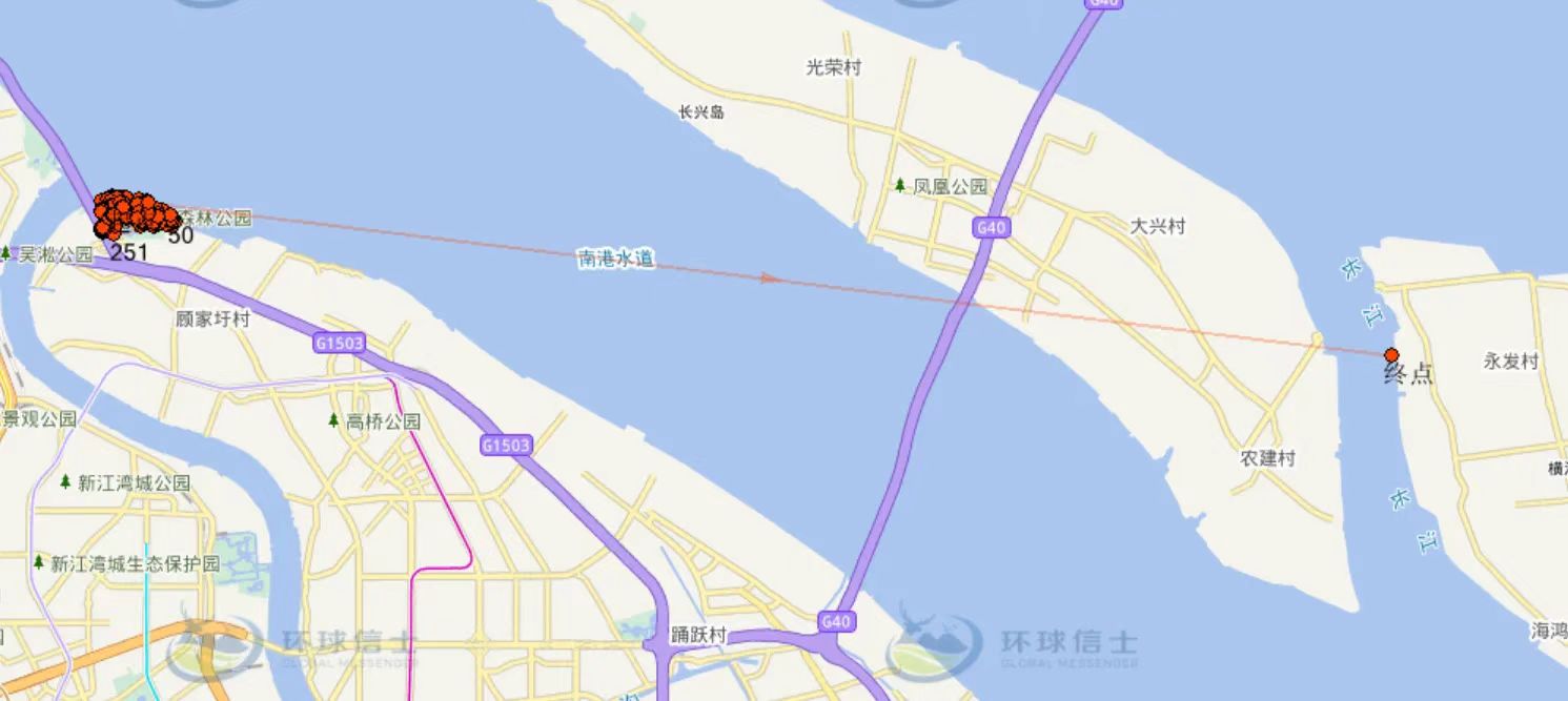 擅长游泳，一只戴GPS项圈的獐从上海浦东漂流到崇明横沙岛