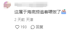 全网美术生都在火锅店里“画牛”？网友：海底捞举办的是美术联考吧