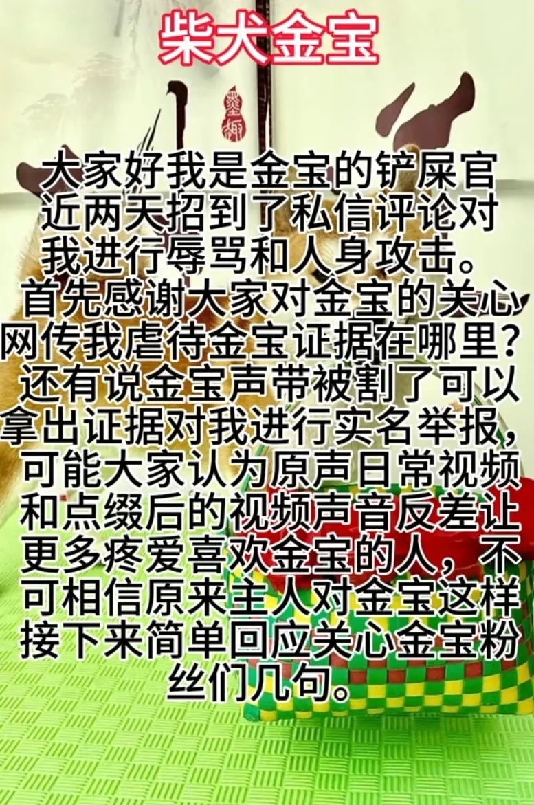 百万粉丝宠物博主被指虐狗