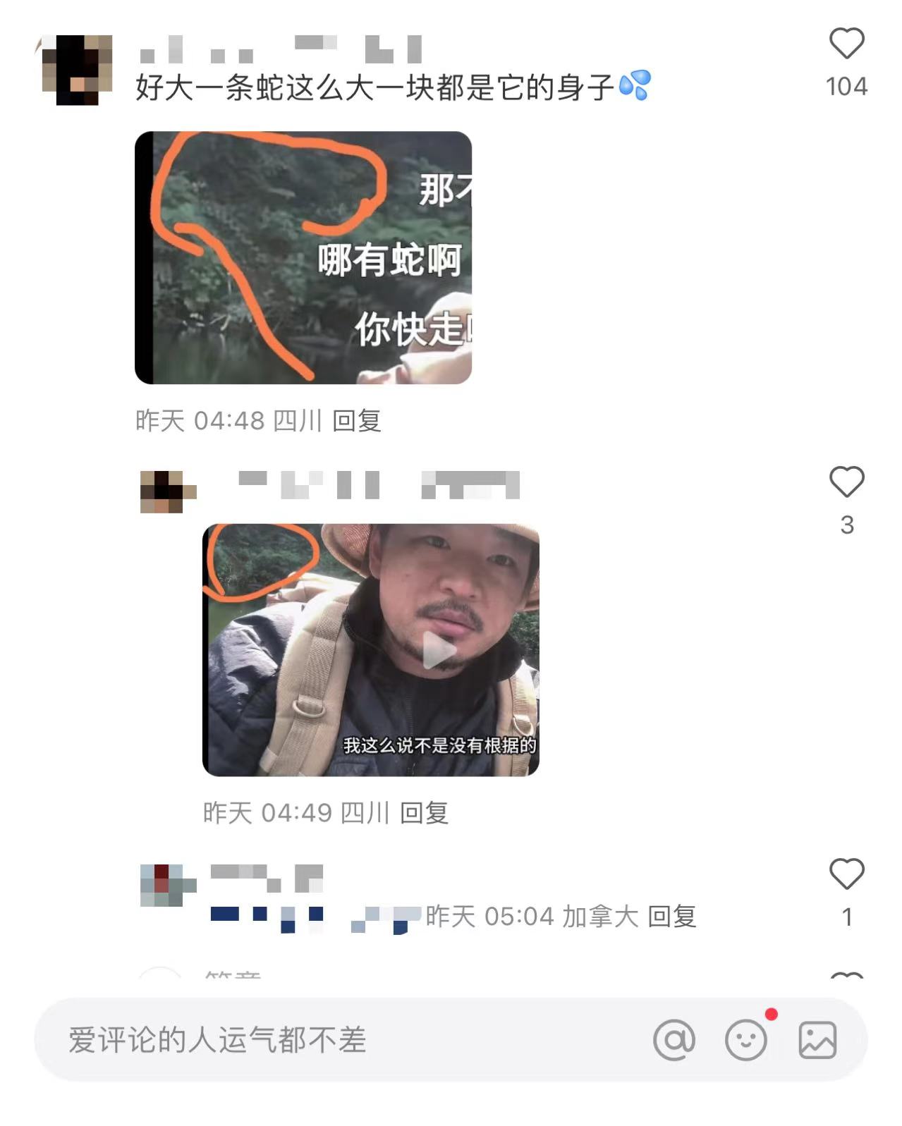 博主独闯哀牢山“被大量凶兽盯上”？当事人回应：是树根