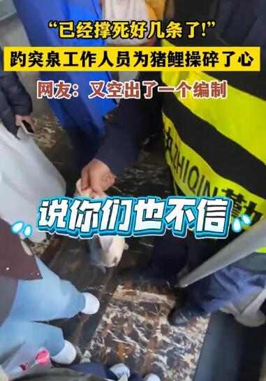 趵突泉保安劝阻喂鱼：撑死好几条了