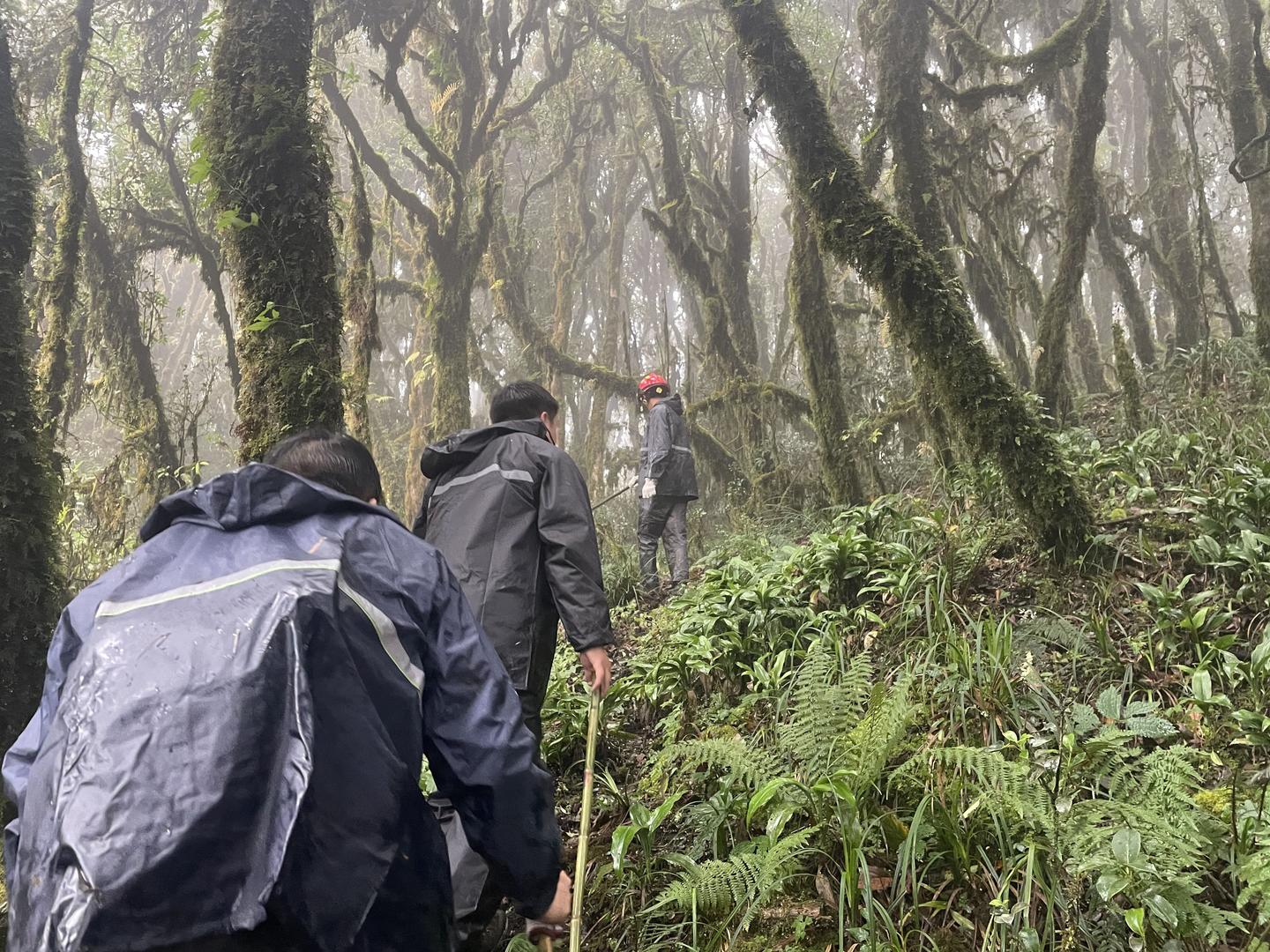 哀牢山大地磁场强度异常？热文作者称内容来源于网络 专家：异常多由磁性矿物岩造成，很常见