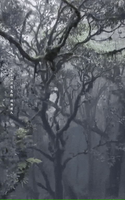 想你的风吹到了哀牢山?擅闯最高罚5000!