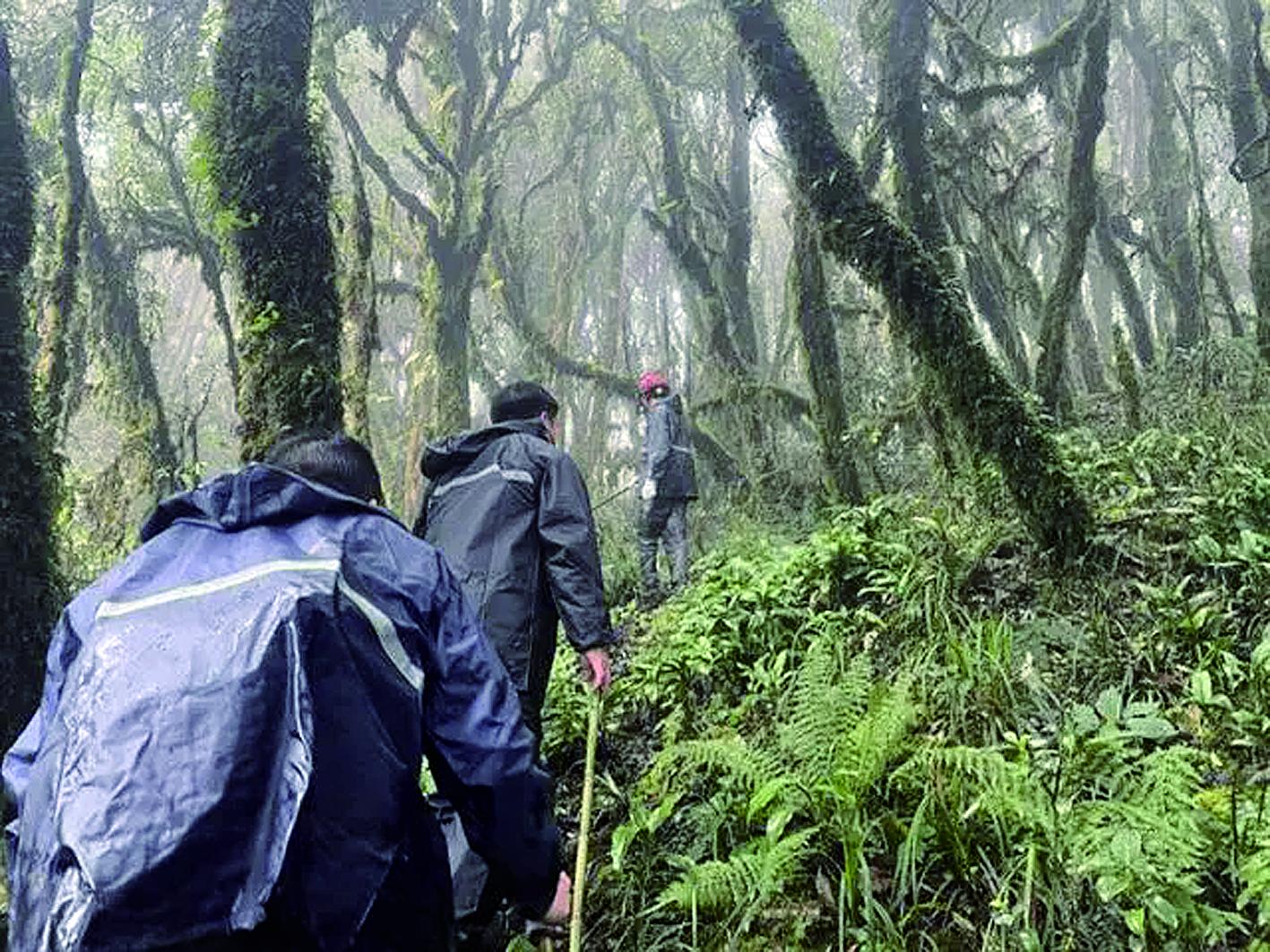 网友“热炒”神秘哀牢山：深潭藏“蛟”、全是原始森林、大地磁场异常……哀牢山三大谜团揭秘