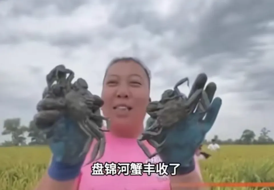 东北雨姐删除道歉视频,7天未更新账号掉粉54万