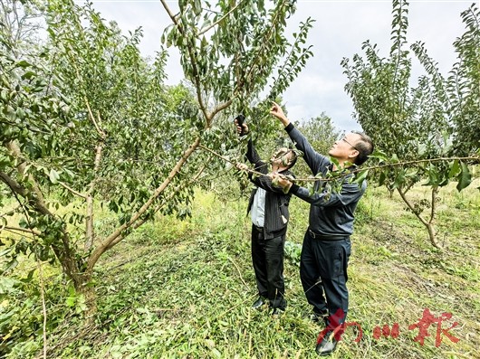 南川：農(nóng)民素質(zhì)素養(yǎng)培訓(xùn) 讓大齡農(nóng)民不掉隊(duì)