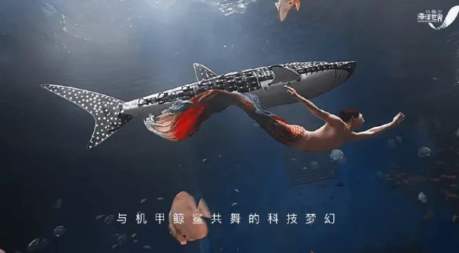 “花了近千元,，你給我看假魚”,？海洋館里的鯨鯊竟是“機器魚”，游客怒了,！假鯨鯊貴的也要千萬元,，專家：確實有難處