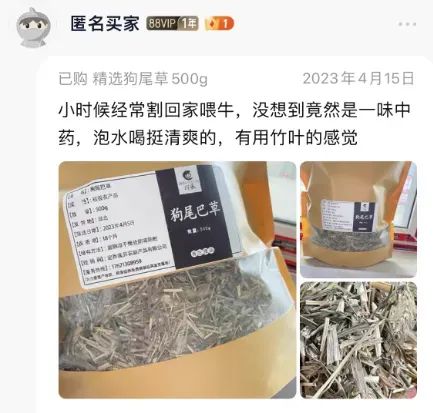 能治近视？最近这野草火了，重庆随处可见！网友：真的假的？