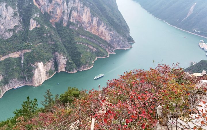 巫山：三峡红叶正红时