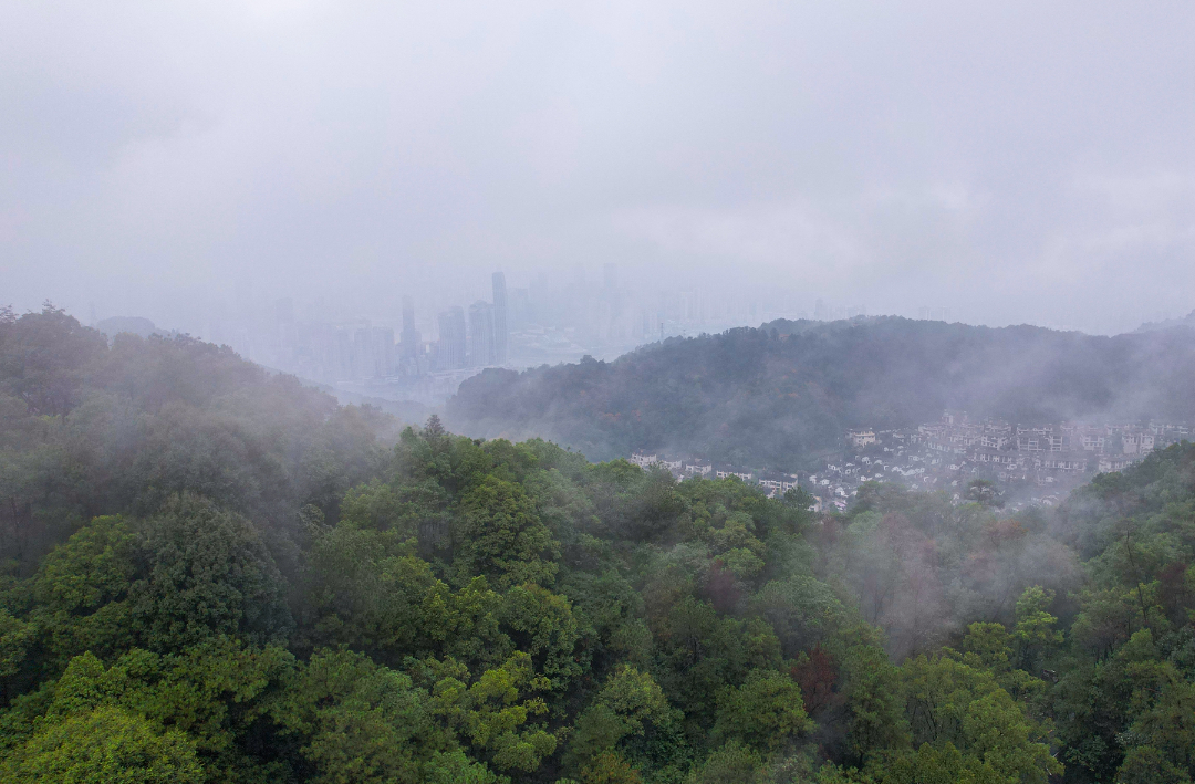 南岸：雨后南山云雾飘渺宛如人间仙境