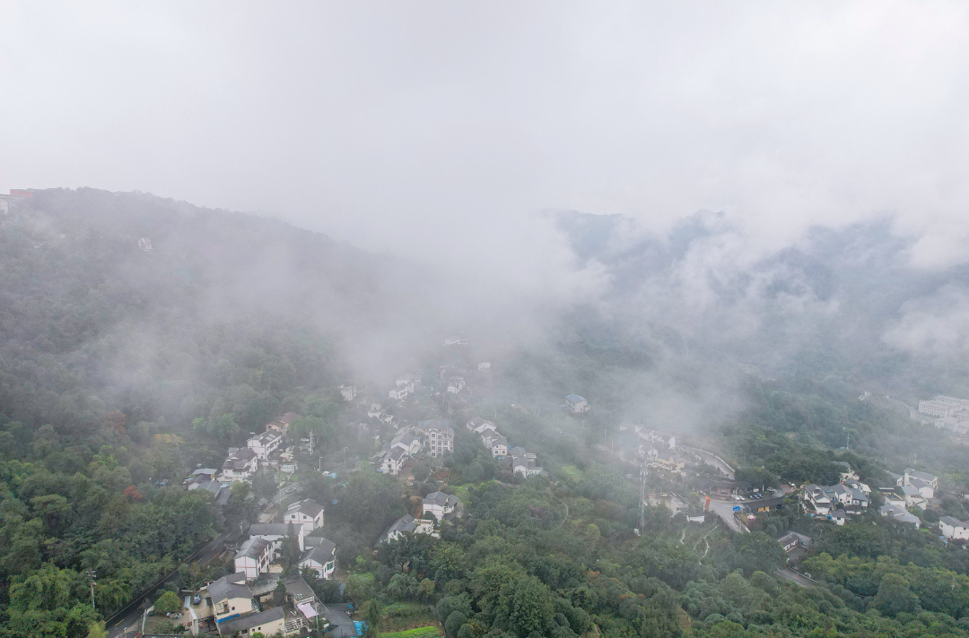 南岸：雨后南山云雾飘渺宛如人间仙境