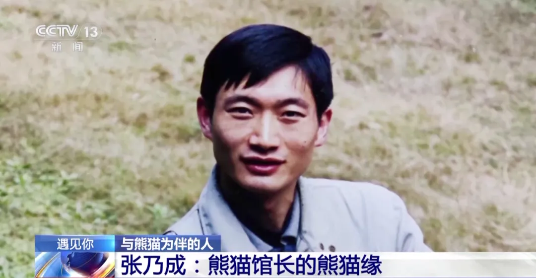 重庆大熊猫爱吃啥子?当然是“huo go”~