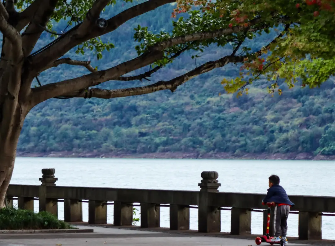 “滨海”小城上线 云阳开启“看海”模式