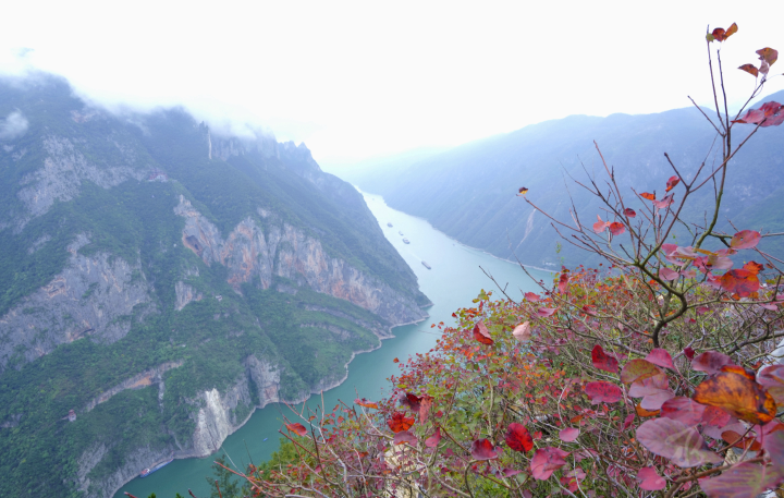 巫山：三峡红叶正红时