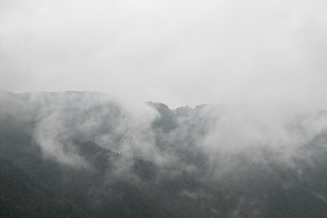 南岸：雨后南山云雾飘渺宛如人间仙境