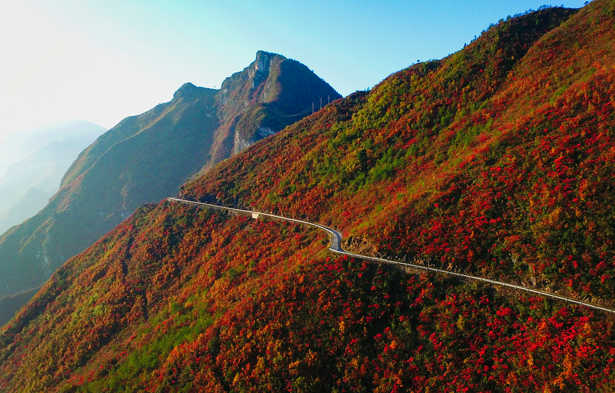 蓝天、白云、山川与漫山的红叶交相呼应，呈现出一幅多姿多彩的壮美画卷。通讯员 王强 摄