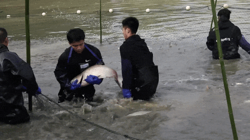 啥条件啊,30000多份?网友:吃不吃的不重要,主要想去摸鱼