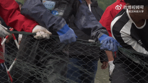 啥条件啊,30000多份?网友:吃不吃的不重要,主要想去摸鱼