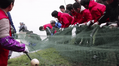 啥条件啊,30000多份?网友:吃不吃的不重要,主要想去摸鱼