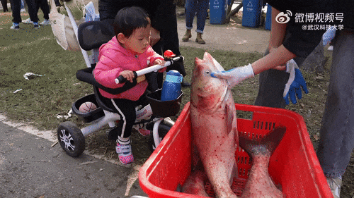 啥条件啊,30000多份?网友:吃不吃的不重要,主要想去摸鱼
