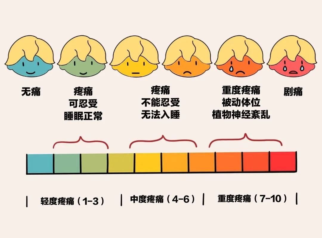 未命名图片