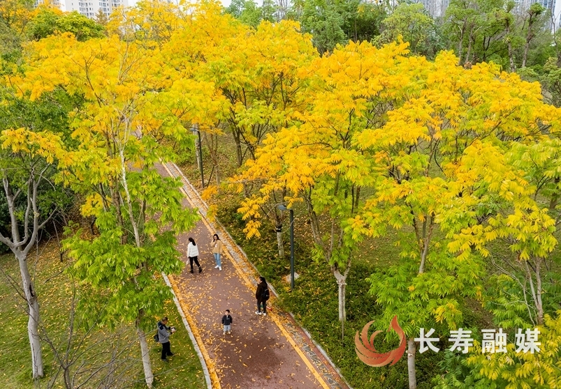 长寿：冬季美景 休闲好去处！