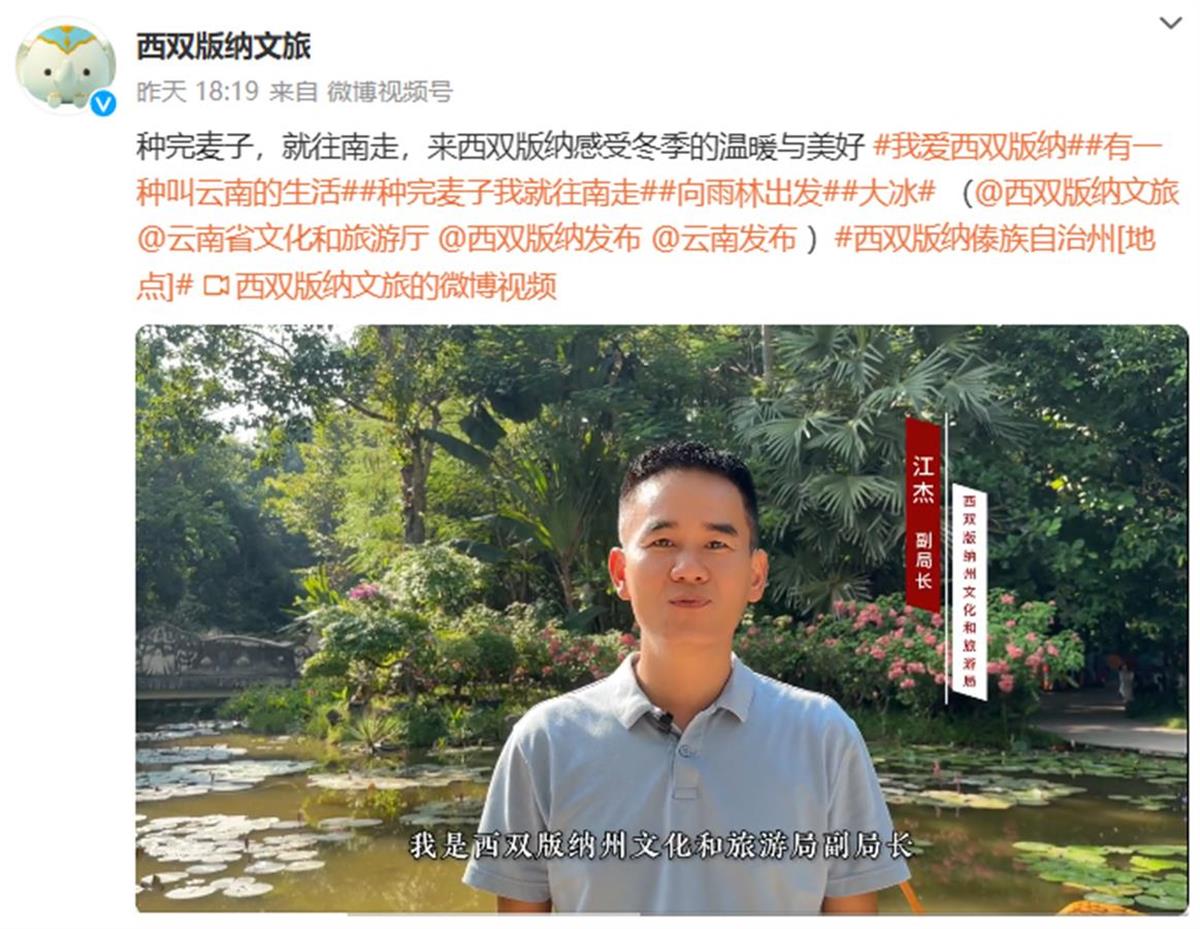 计划往南走的“麦子奶奶”找到了，各地文旅部门花式发出邀请