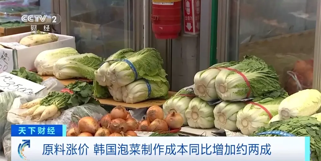 韩国市场超50%泡菜,都产自中国这一城市→