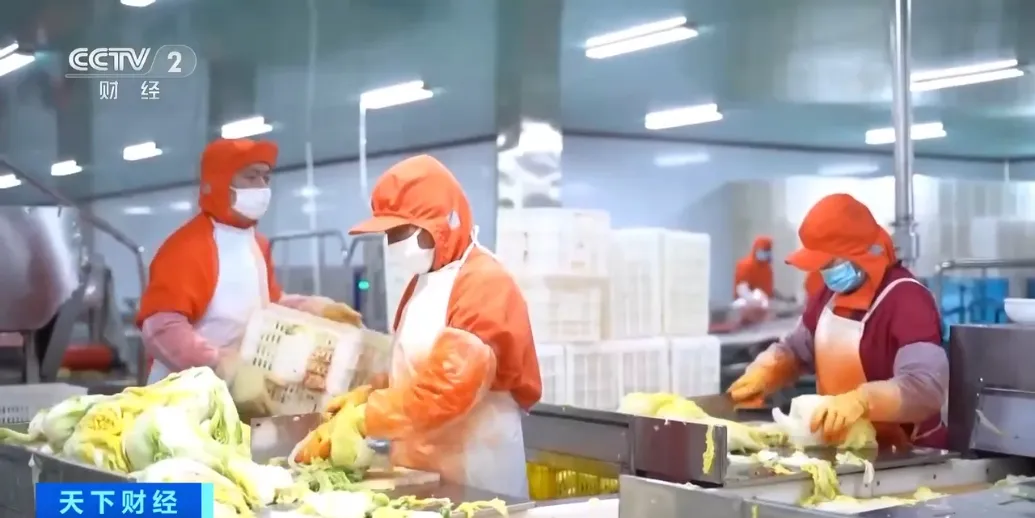 韩国市场超50%泡菜,都产自中国这一城市→