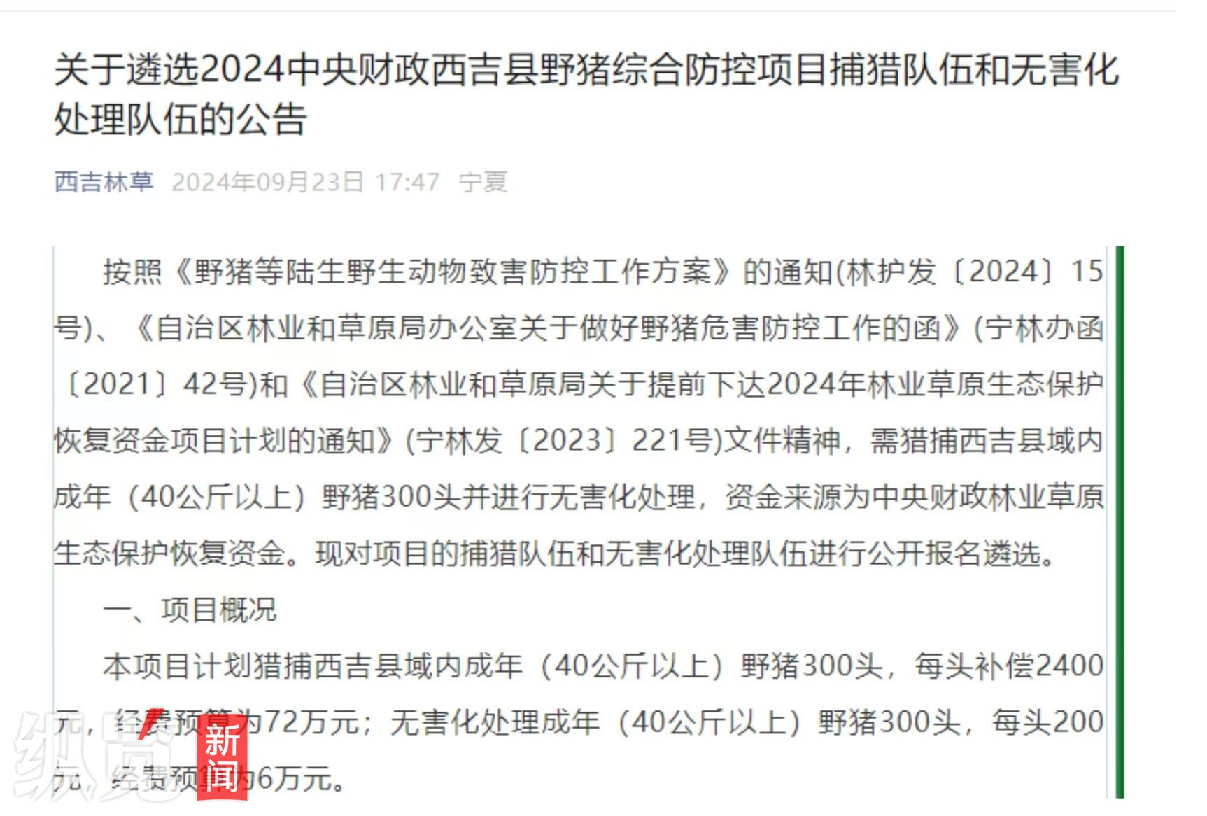 野猪泛滥致害26省，多地开始“赏金猎捕”：受访猎人称猎捕成本高、难度大，两年赔进两套房