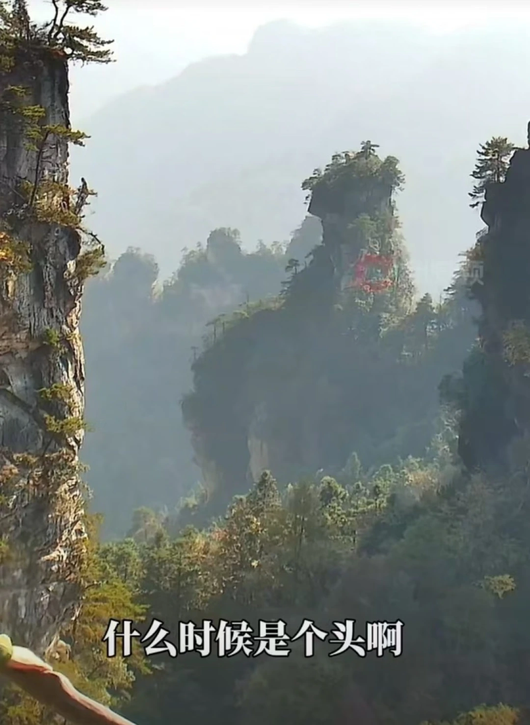 六旬大叔张家界喊山“太累了”获万人鼓励，当事人讲述辛酸经历：孩子小，不敢停下来