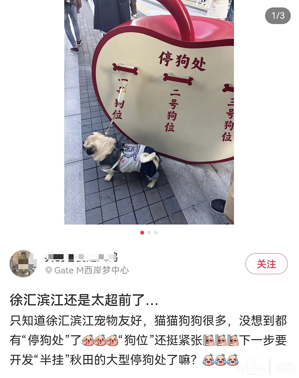 上海徐汇滨江出现“停狗处”？网友：还是太超前了！有人点赞有人忧