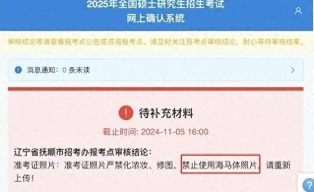 海马体照片被禁用，记者实地体验：没要求也会修图，可提供未修图版本