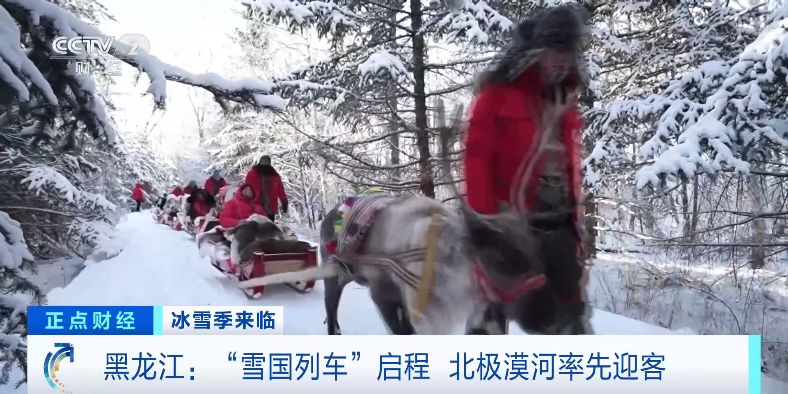 “雪国列车”启程！北极漠河率先迎客，开启一场冰雪浪漫之旅→