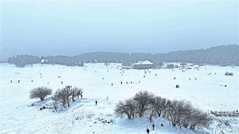 絕美的“南國(guó)雪原”風(fēng)光。記者 楊丹 董衛(wèi)紅 供圖