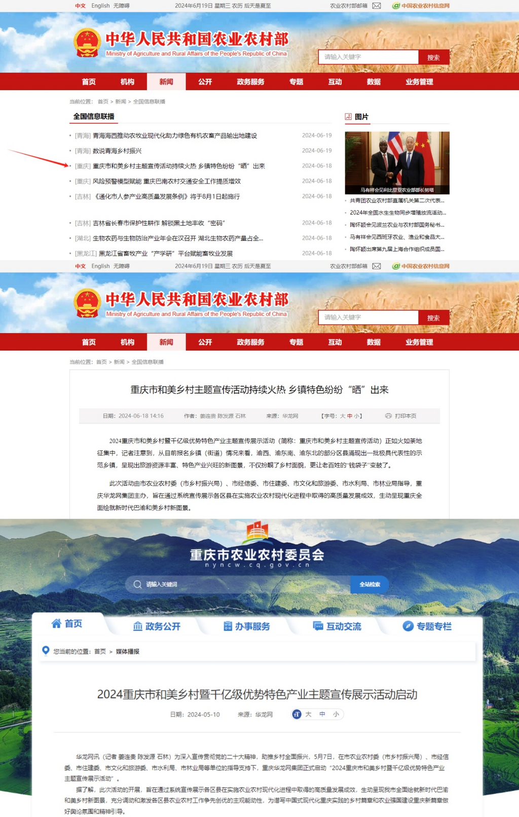 图片4