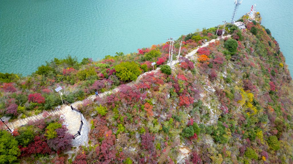 游客沿着“三峡之心”环线拾阶而上。熊威 摄