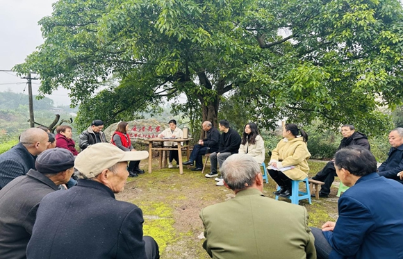 向居民宣講醫(yī)保政策。王家街道辦事處供圖