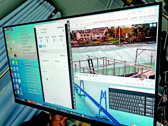 黎夏研發(fā)的智慧農(nóng)業(yè)系統(tǒng)，可實現(xiàn)對大棚24小時全程監(jiān)控。通訊員  胡瑾　攝