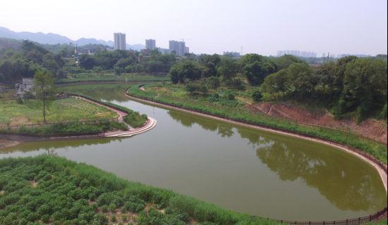 黄堰河道局部图。通讯员 宋小川 摄