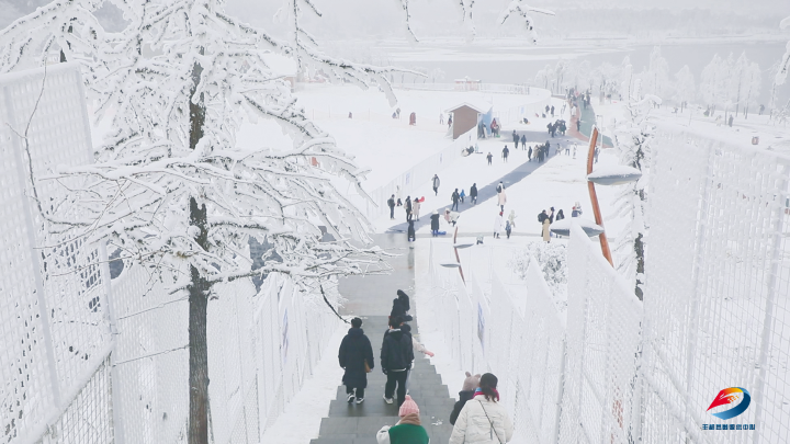 游客在雪地里游玩。