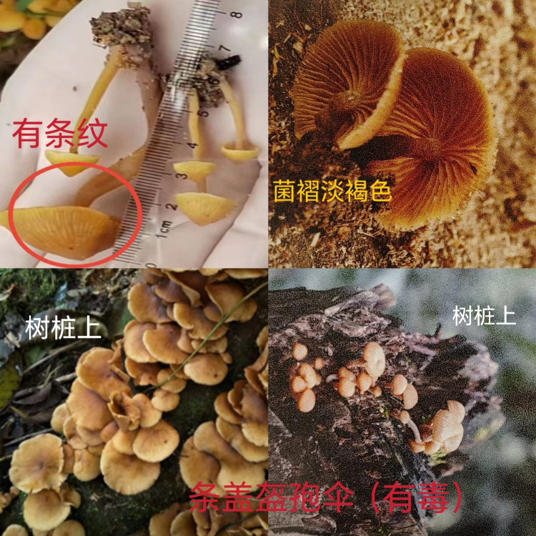 未命名图片