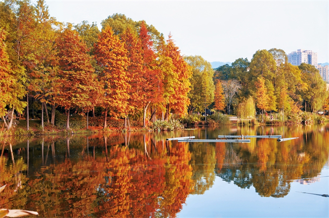 秀湖公園。璧山區(qū)融媒體中心記者 楊文廣 攝