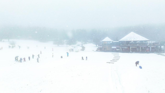 大雪后的仙女山。重庆武隆旅游产业（集团）有限公司供图