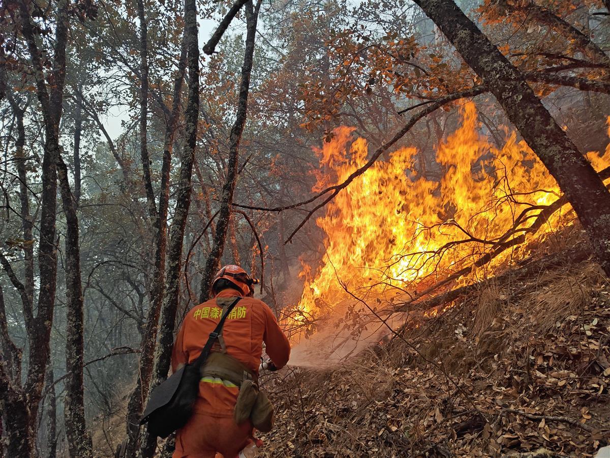 直击消防挺进雅江火场：森林消防员负重数十斤凌晨进火场，在超70度陡坡上彻夜奋战