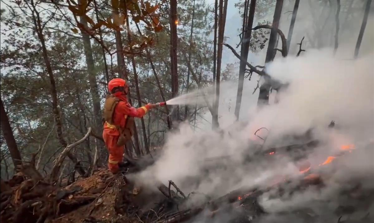 直击消防挺进雅江火场：森林消防员负重数十斤凌晨进火场，在超70度陡坡上彻夜奋战