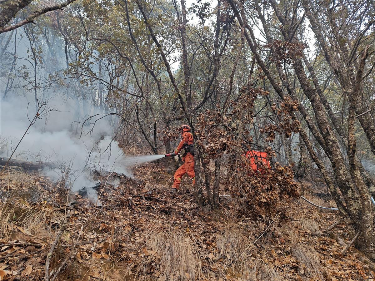 直击消防挺进雅江火场：森林消防员负重数十斤凌晨进火场，在超70度陡坡上彻夜奋战