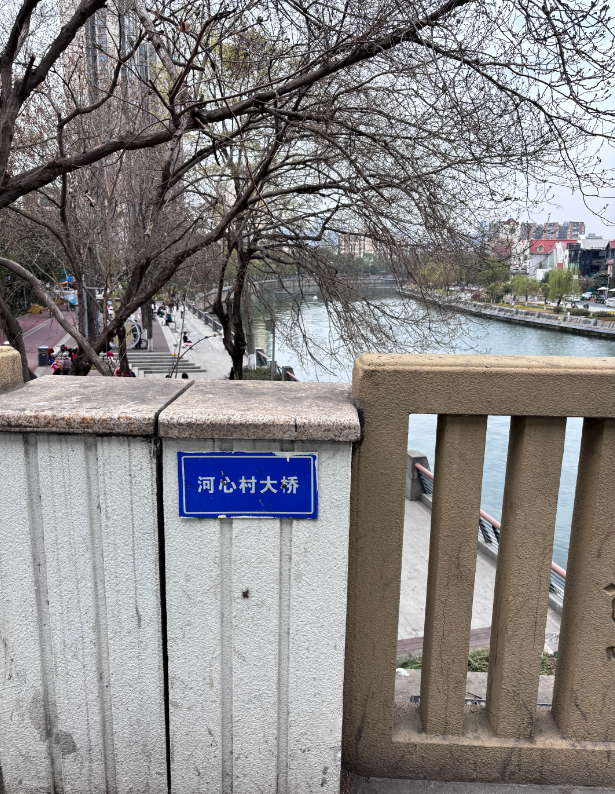成都一快艇撞击河坝致多人受伤 项目负责方：系驾驶员操作失误导致事故发生