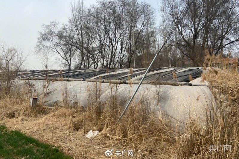 实探邯郸初中生遇害案现场,学校否认校园霸凌、家属不认可